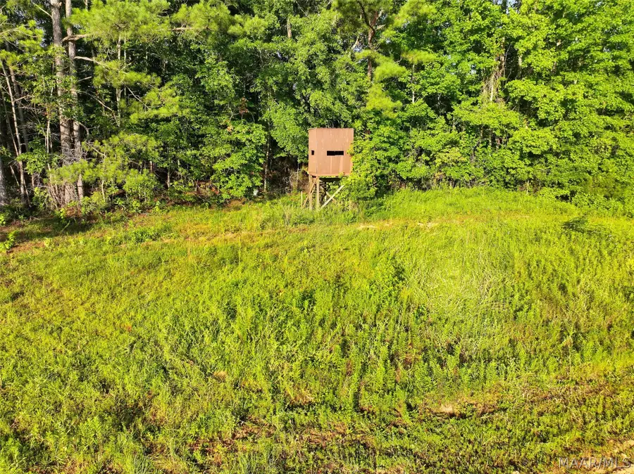 34 Hunter Loop Road, Marbury, AL 36051 - #2