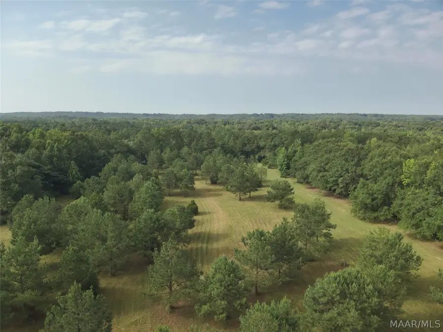 381 Hooks Road, Shorter, AL 36075 - #3