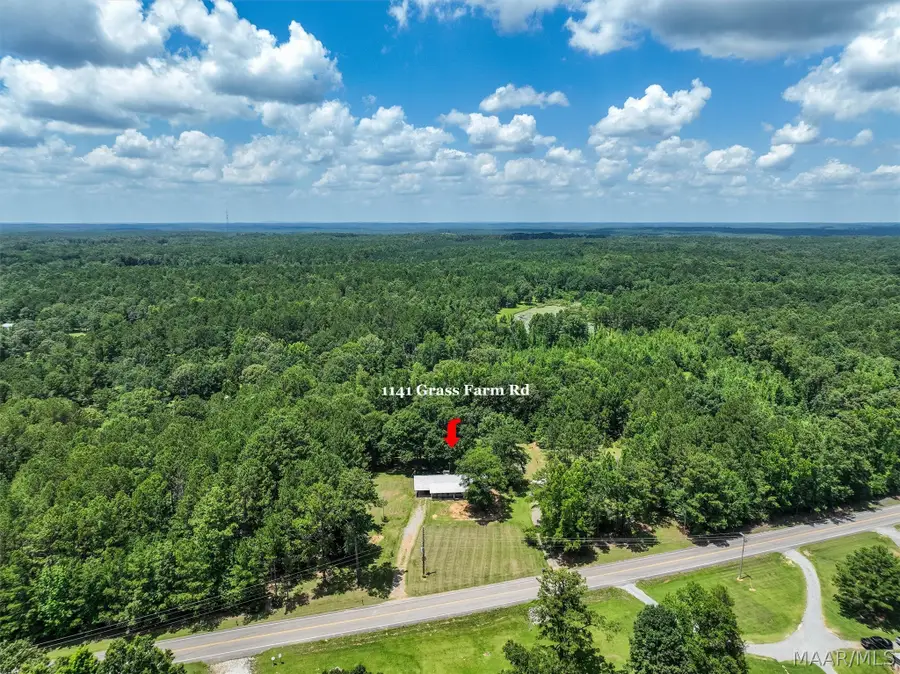 1141 Grass Farm Road, Titus, AL 36080 - #3