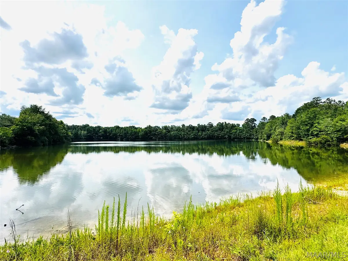 1091 Friendly Pine Road, Elmore, AL 36025 - #1
