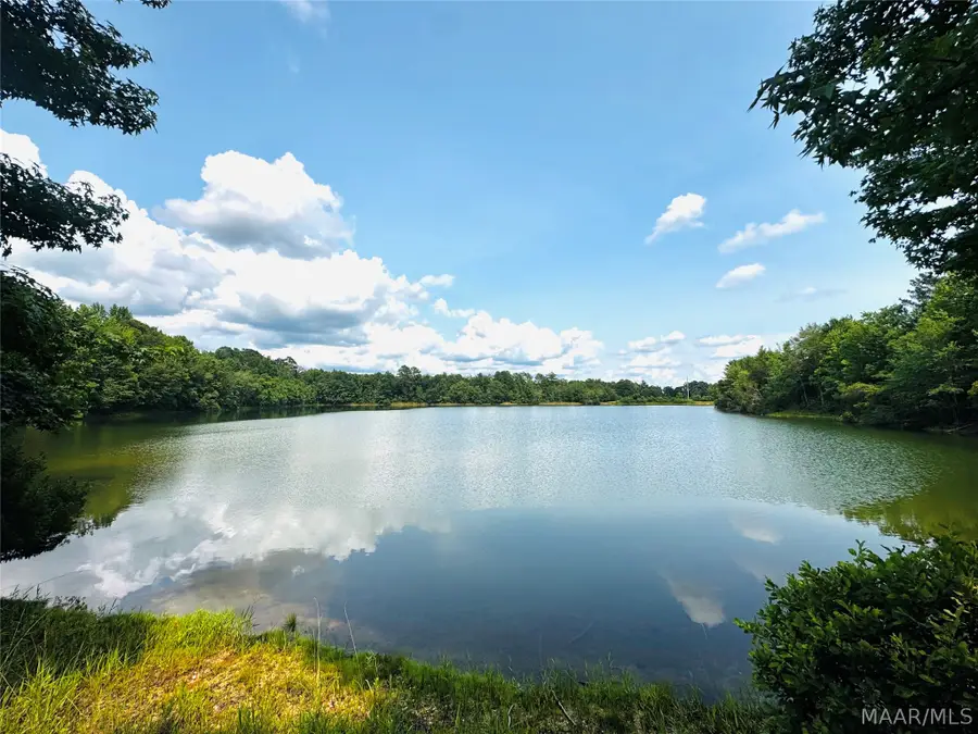 1091 Friendly Pine Road, Elmore, AL 36025 - #3