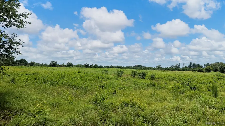913 County Road 99 Road, Verbena, AL 36091 - #2