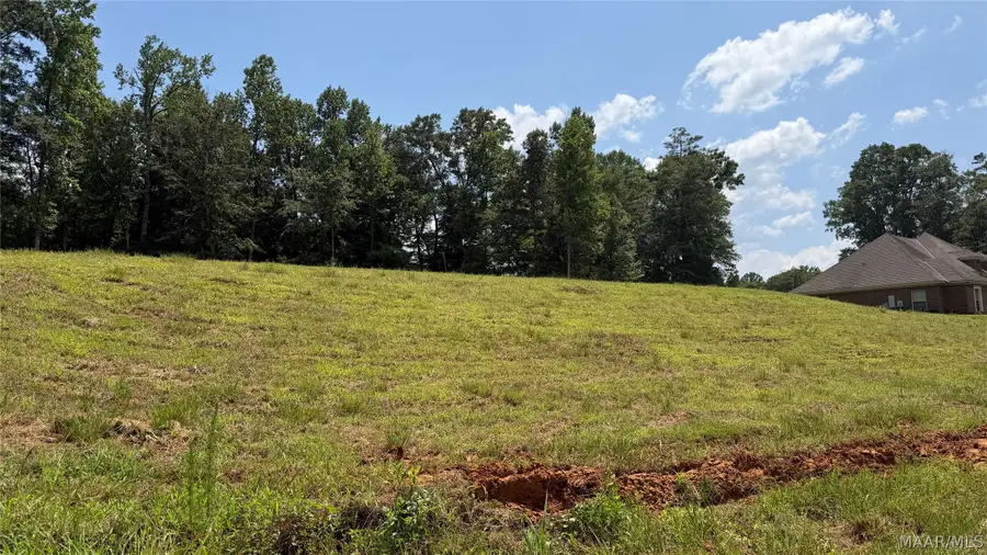 0 Springwood Drive, Greenville, AL 36037 - #2