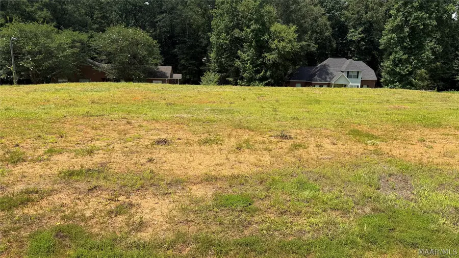 0 Springwood Drive, Greenville, AL 36037 - #3