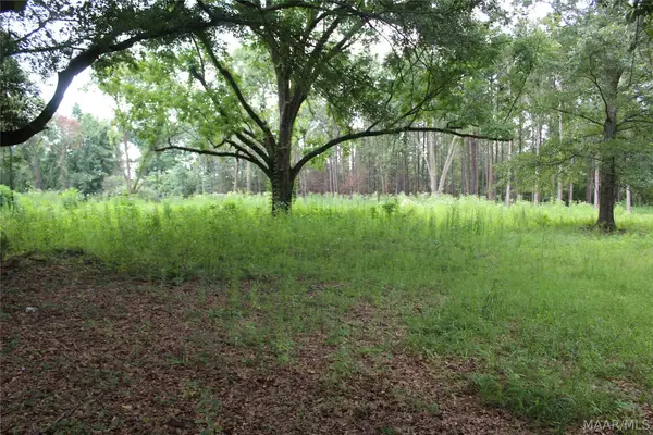 1563 Fort Deposit Road, Fort Deposit, AL 36032