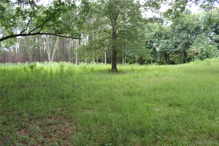 1563 Fort Deposit Road, Fort Deposit, AL 36032 - #2