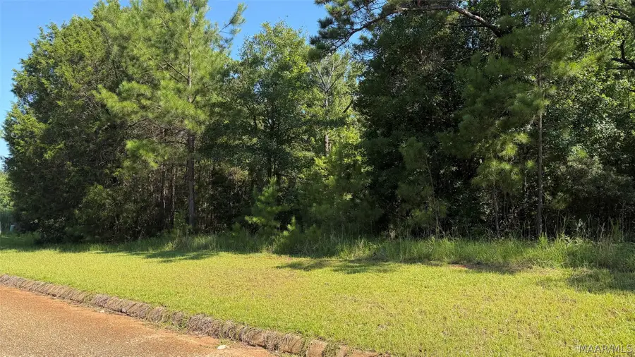 LOT 13B White Oak Way, Greenville, AL 36037 - #2