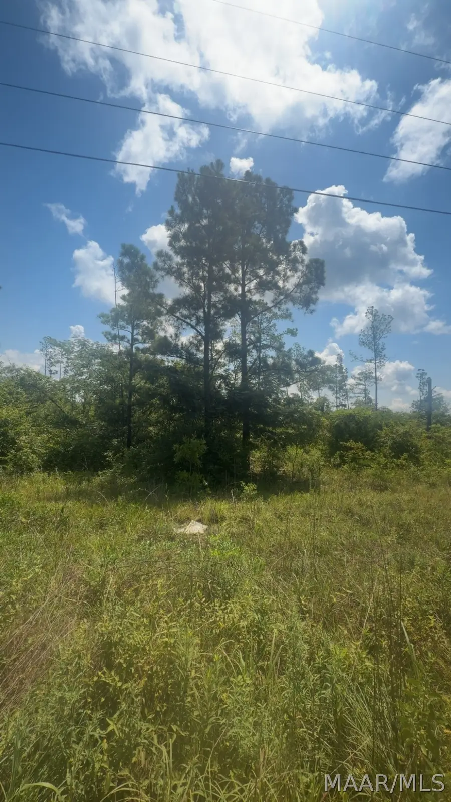 00 County Rd 43, Prattville, AL 36067 - #3