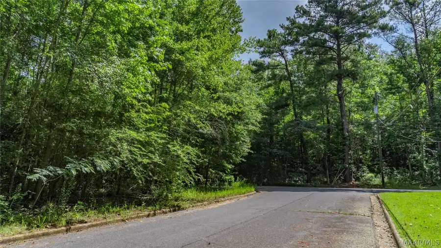 0 Ruby Drive, Cottondale, AL 35453 - #3