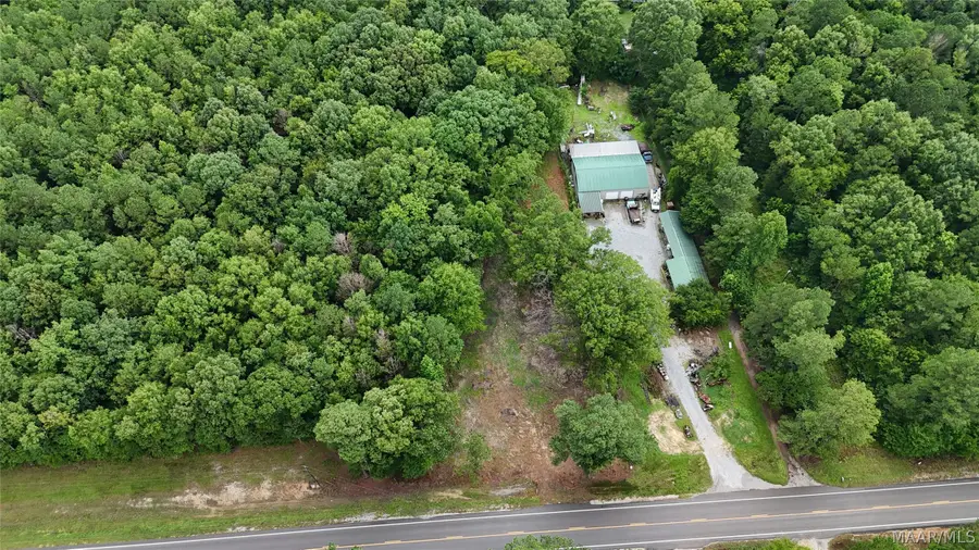 16916 Vaughn Road, Cecil, AL 36013 - #3
