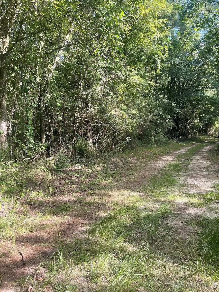 0 E Town Road, Tuskegee, AL 36083 - #2