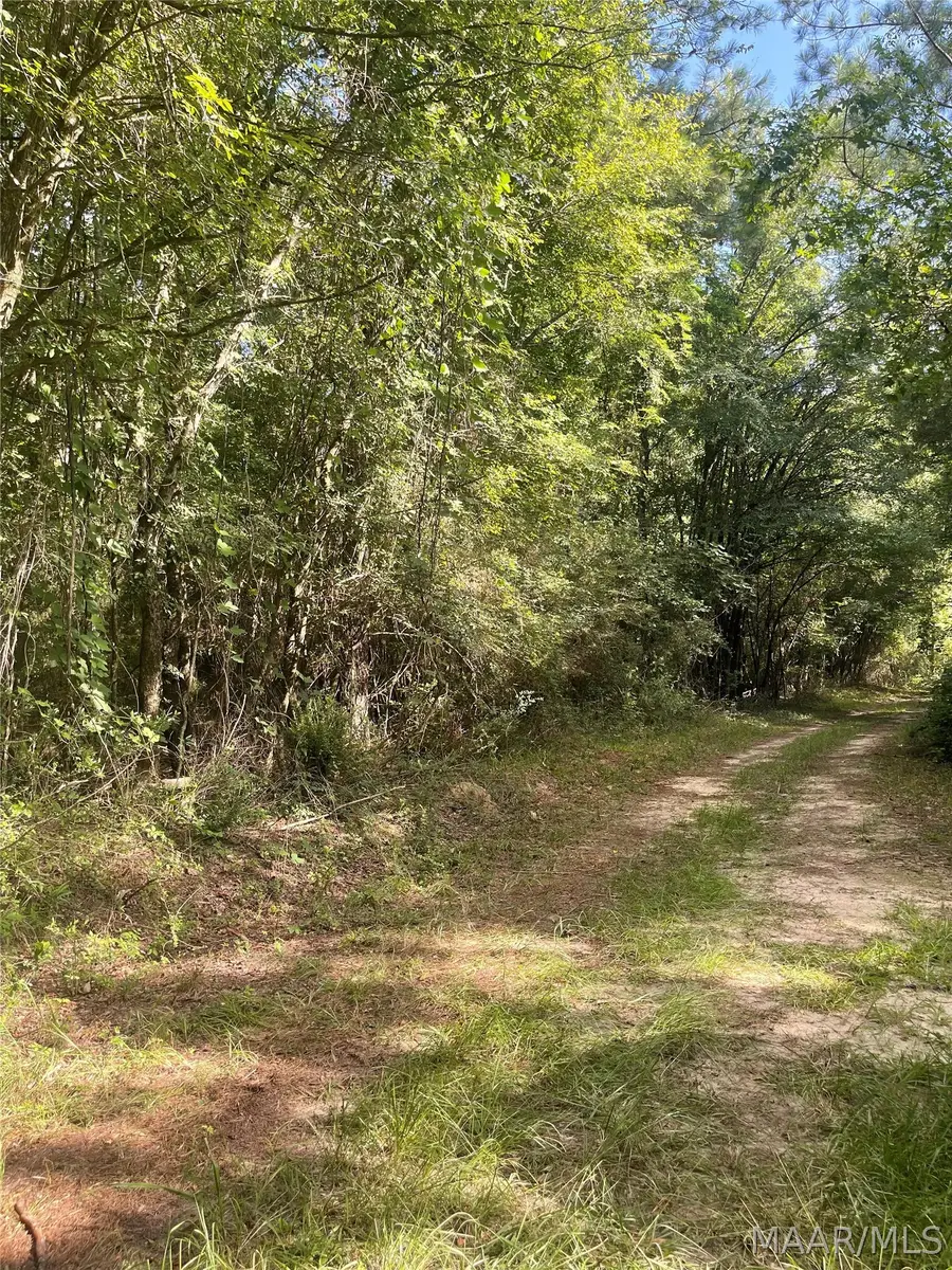0 E Town Road, Tuskegee, AL 36083 - #3