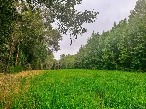 41 County Road 24 Road, Auburn, AL 36083
