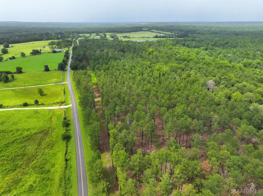41 County Road 24 Road, Little Texas Society Hill, AL 36083 - #3