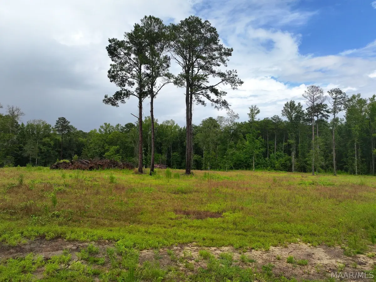 13 County Road 24 Road, Auburn, AL 36830 - #1