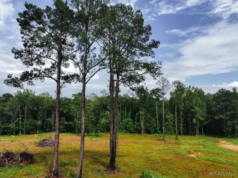 13 County Road 24 Road, Auburn, AL 36830 - #2