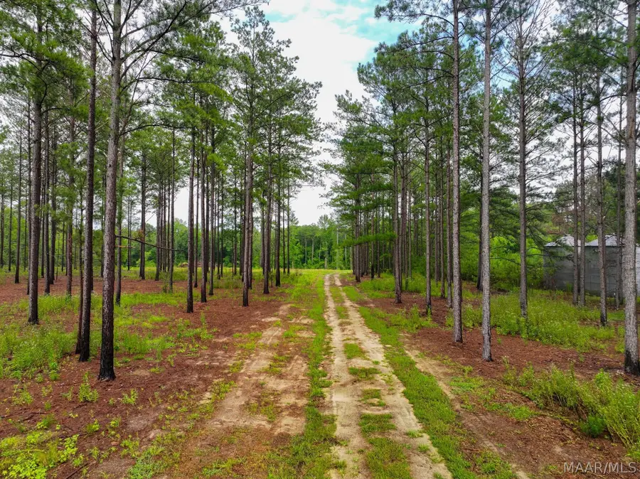 13 County Road 24 Road, Auburn, AL 36830 - #3