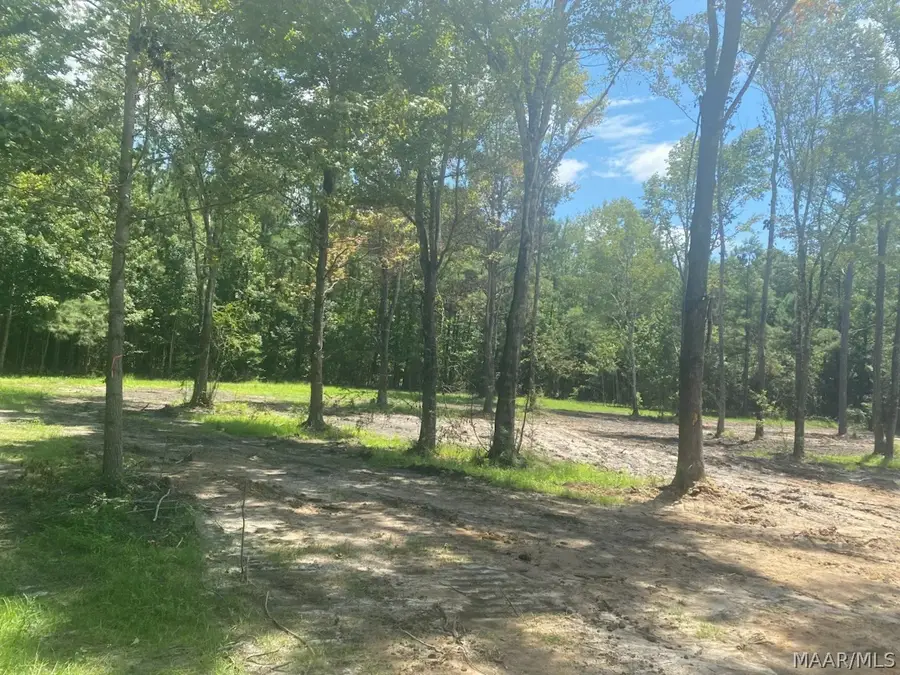 644 Case Road, Slocomb, AL 36375 - #2