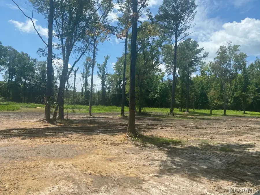 644 Case Road, Slocomb, AL 36375 - #3