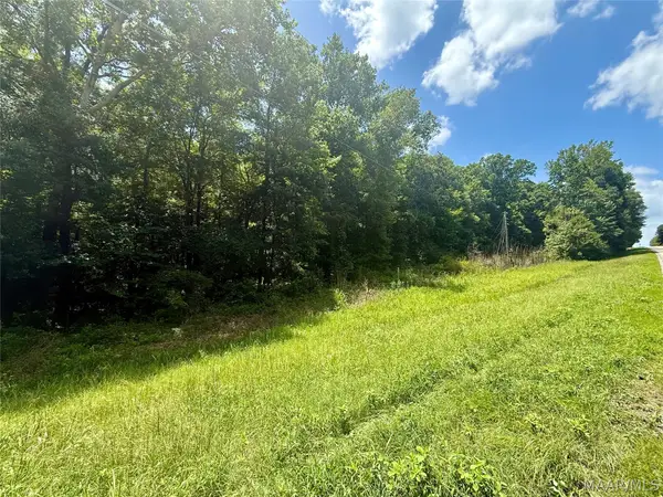 0 Highway 14 W, Autaugaville, AL 36003