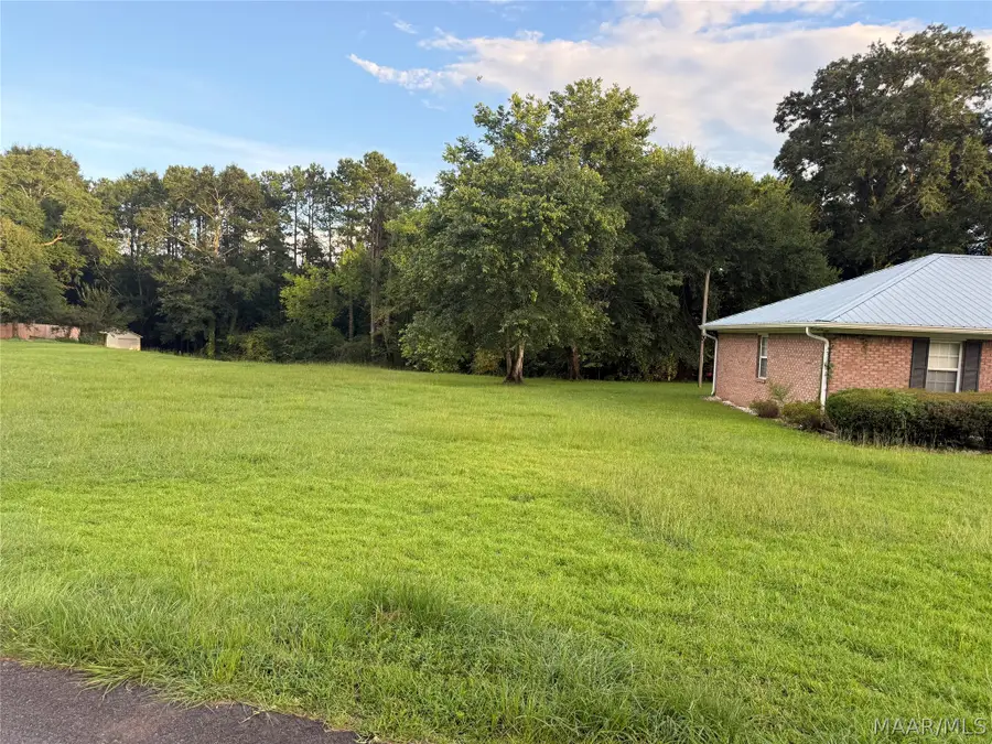 96 County Road 232 Road, Selma, AL 36701 - #3
