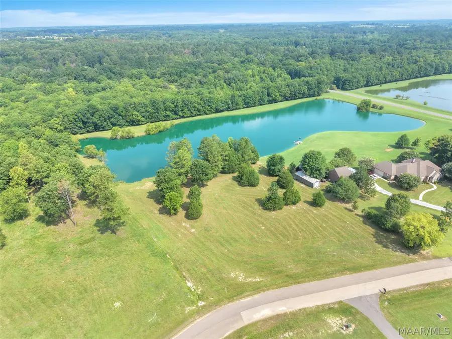 Lot 1 Leahmon Lane, Mathews, AL 36052 - #2