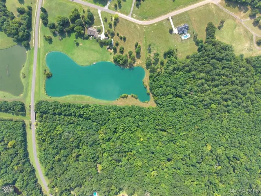 Lot 1 Leahmon Lane, Mathews, AL 36052 - #3