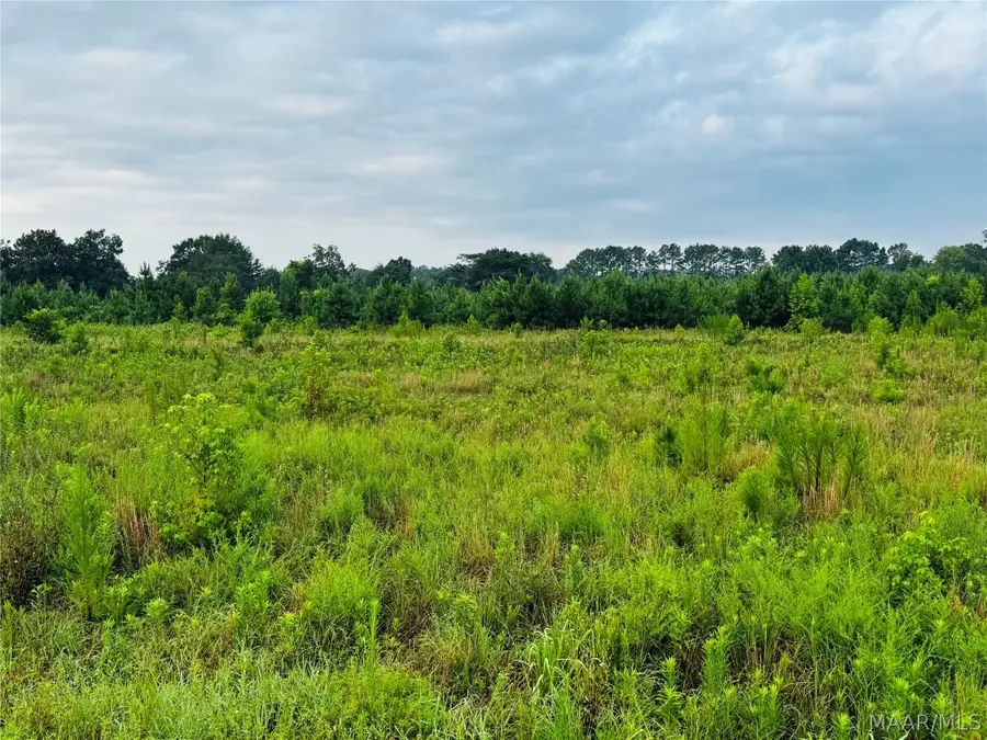 8001 Lightwood Road, Marbury, AL 36051 - #2