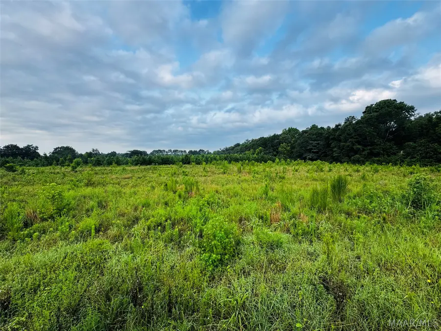 8001 Lightwood Road, Marbury, AL 36051 - #3