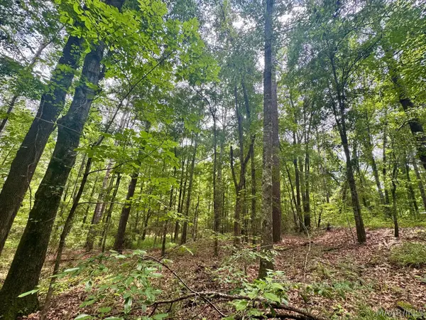 45 Highway 29 Highway, Union Springs, AL 36089
