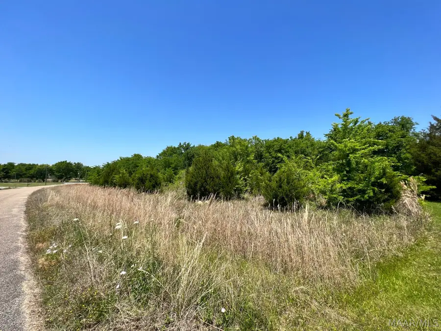 4164 Fair Meadow Lane, Pike Road, AL 36064 - #3