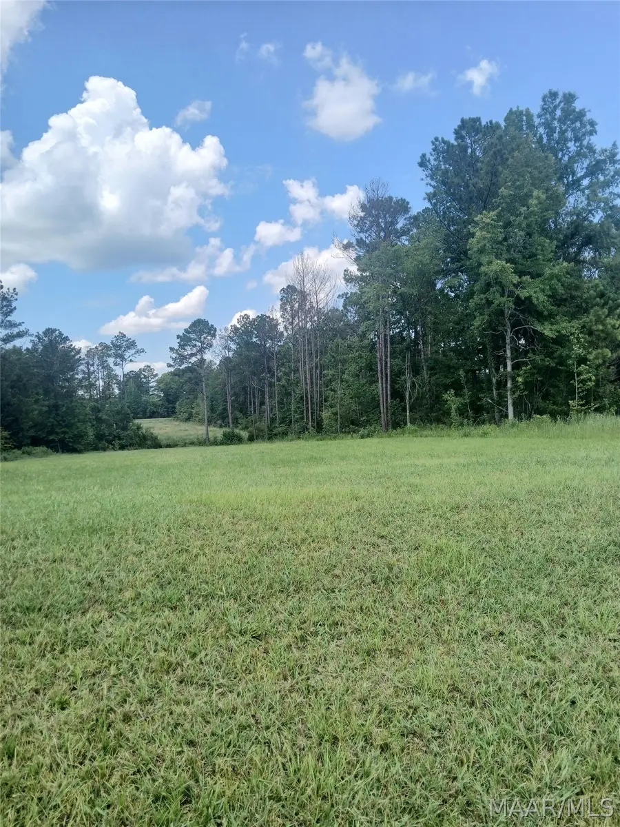 157 Woods N Water Lane, Mathews, AL 36052 - #2