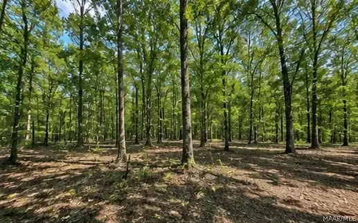 0 Sipsey Overlook Road, Double Springs, AL 35553 - #3