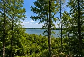 14 Legacy Shores Drive, Alberta, AL 36720 - #2