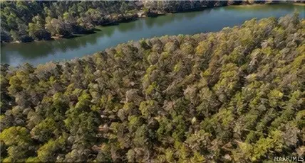 1 County Road 18, Double Springs, AL 35534 - #2