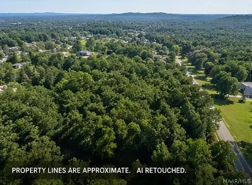 8315 Dunnavant Road, Leeds, AL 35094 - #2