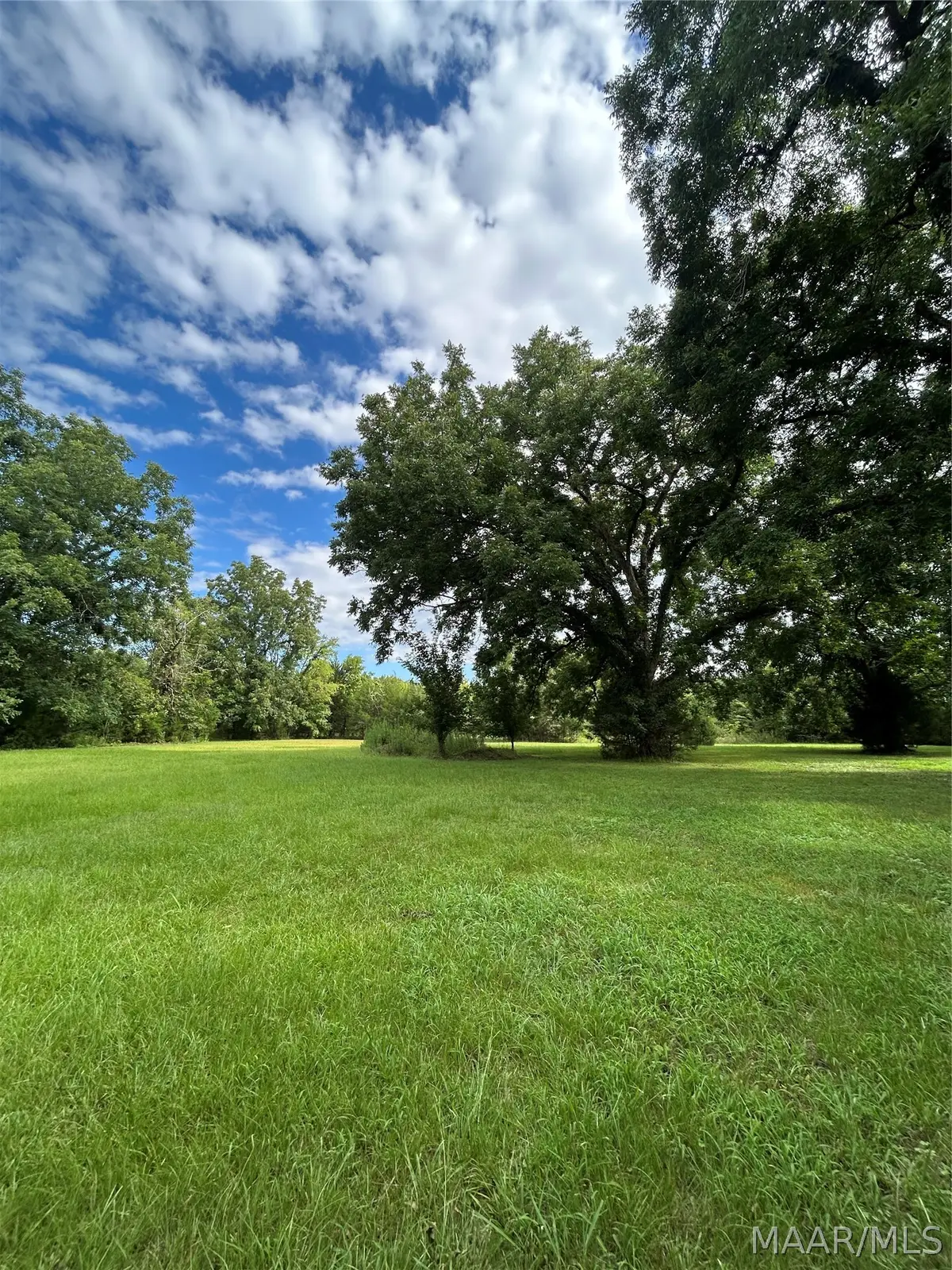 339 Darlington Road, Camden, AL 36726 - #1