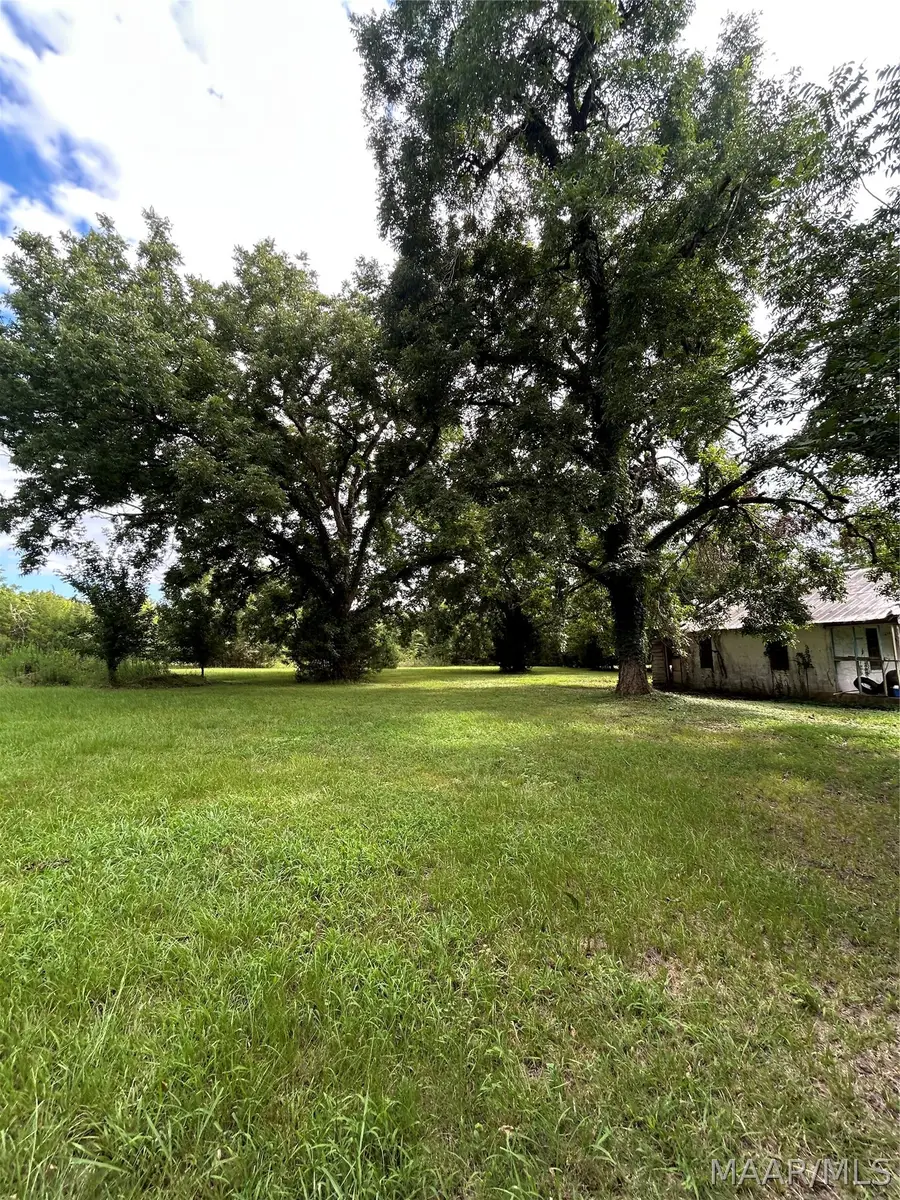 339 Darlington Road, Camden, AL 36726 - #3