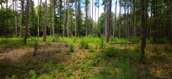 2942 Sanders Lane, Montgomery, AL 36110