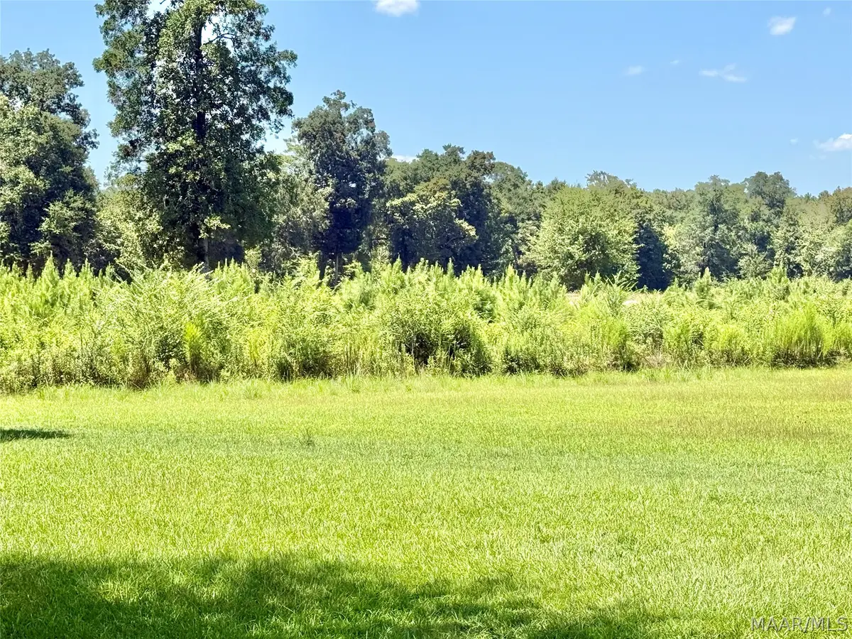 0 Warrior Drive, Valley Grande, AL 36701 - #1