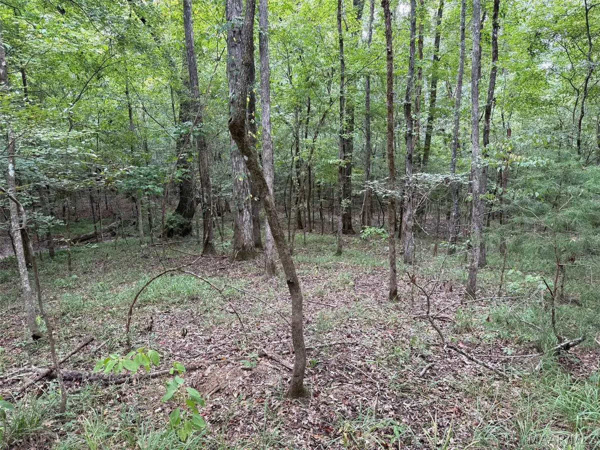 0 County Road 199, Troy, AL 36081 - #1