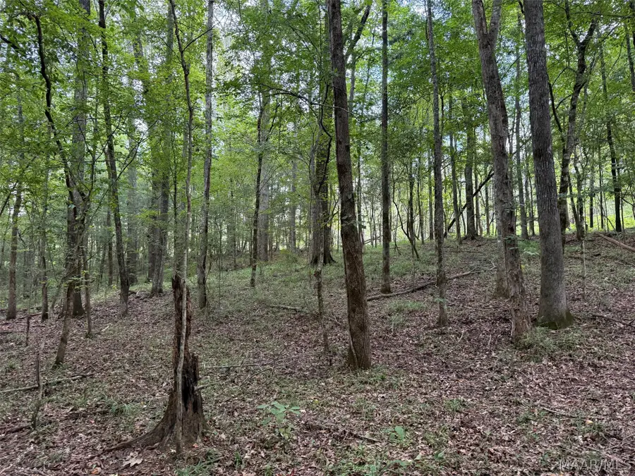 0 County Road 199, Troy, AL 36081 - #2