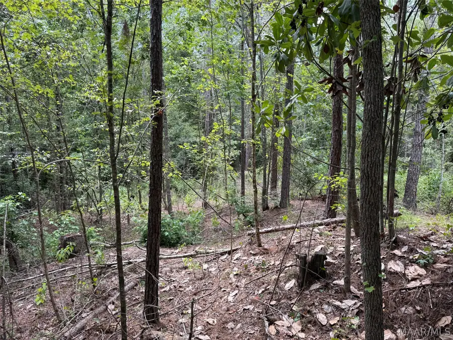 0 County Road 199, Troy, AL 36081 - #3