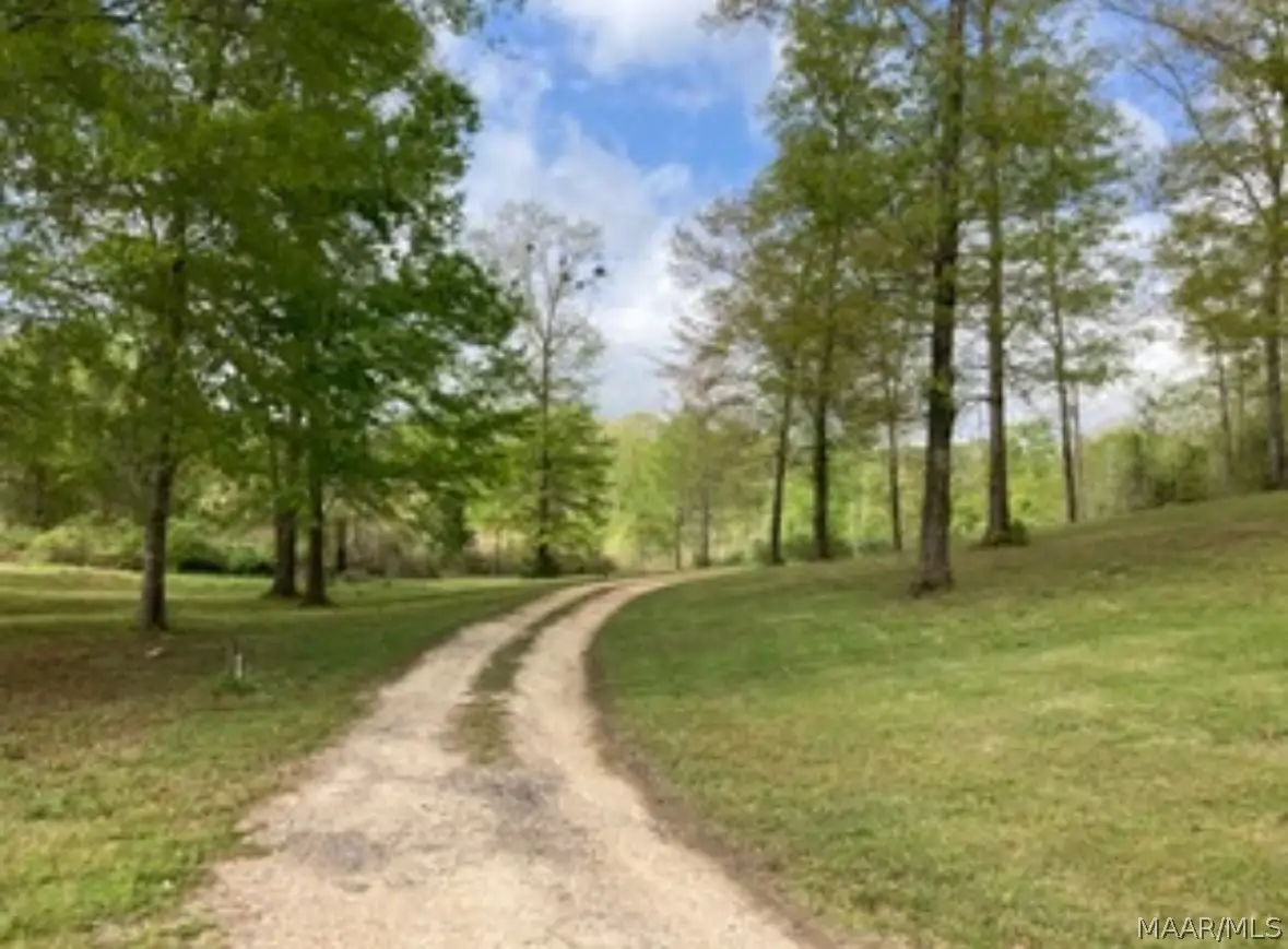 244 County Road 993 Road, Valley Grande, AL 36703 - #1