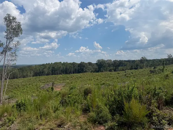 01 County Road 7, Plantersville, AL 36785