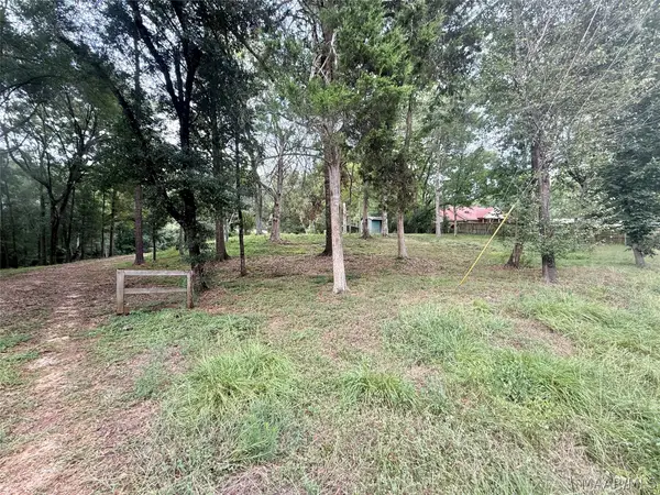222 County Road 65, Valley Grande, AL 36701