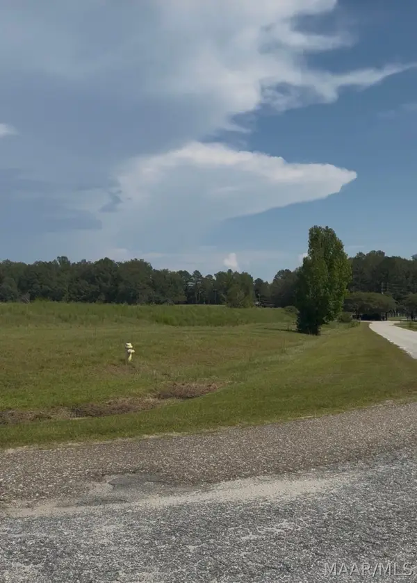 Lot 4 Chesson Court, Fitzpatrick, AL 36029