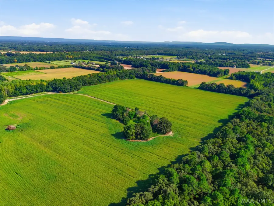 0 Scott Road, Hazel Green, AL 35750 - #3
