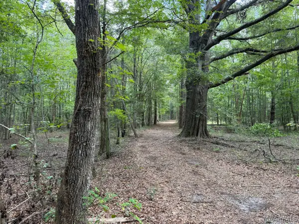 00 County Road 4 Road, Fitzpatrick, AL 36029