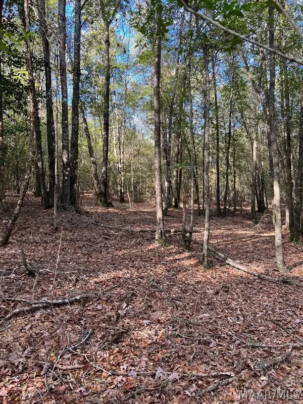 00 County Road 79 Road, Billingsley, AL 36006